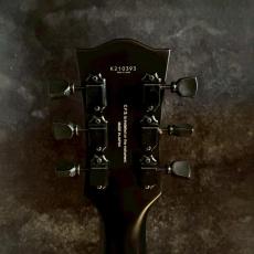 FUJIGEN NLS10RMTBE-MBK【4.12kg】_7