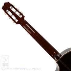Switch NJ-70C RW -Nylon Jazz-【60回無金利対象品】_7