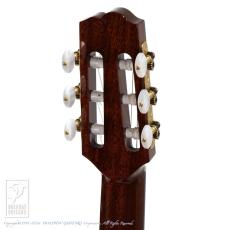 Switch NJ-70C RW -Nylon Jazz-【60回無金利対象品】_9