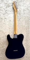 Fender American Professional Ⅱ Telecaster (Modified)_4