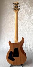 Paul Reed Smith [PRS] SE-Custom24_3