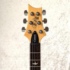 Paul Reed Smith [PRS] SE-Custom24_4