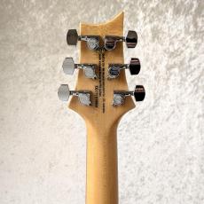 Paul Reed Smith [PRS] SE-Custom24_5
