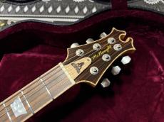 David Thomas McNaught David Thomas McNaught Vintage Single Cut Light Tigers Eye Burst (Premium Diamond Flame)_5