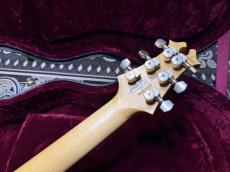 David Thomas McNaught David Thomas McNaught Vintage Single Cut Light Tigers Eye Burst (Premium Diamond Flame)_9