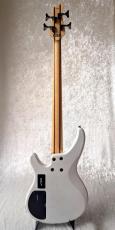 YAMAHA TRBX504_3