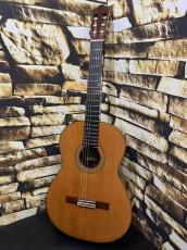 ASTURIAS アストリアス 1990年製 No.Standard 杉・ローズウッド【日本総本店2F 在庫品】