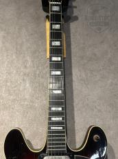 Hoyer [試奏動画あり]60s Semi Hollow Made in Germany_7