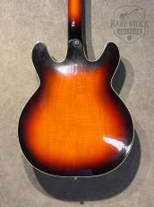 Hoyer [試奏動画あり]60s Semi Hollow Made in Germany_8