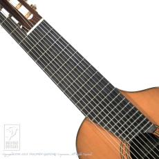 ASTURIAS Renaissance 11-String_5