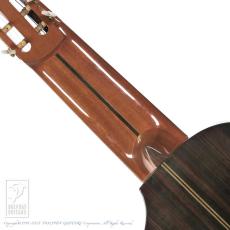 ASTURIAS Renaissance 11-String_6