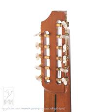 ASTURIAS Renaissance 11-String_8