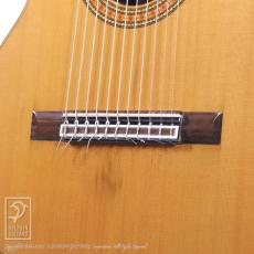 ASTURIAS Renaissance 11-String_10