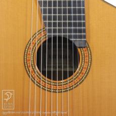 ASTURIAS Renaissance 11-String_11