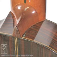 ASTURIAS Renaissance 11-String_12