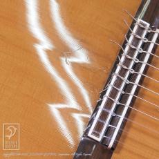 ASTURIAS Renaissance 11-String_13