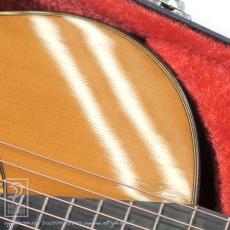 ASTURIAS Renaissance 11-String_14
