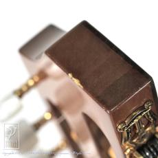 ASTURIAS Renaissance 11-String_15