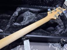 Paul Reed Smith [PRS] Paul Reed Smith Custom 24 Floyd 10-Top / Killer TOP / Faded Blue Jean_8