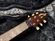 TOM ANDERSON Tom Anderson Bulldog Locker Light Tiger Eye Burst with Binding_5