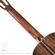 ASTURIAS Tsuji S-1/S_6