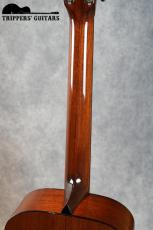 Collings 01 (2017)_9