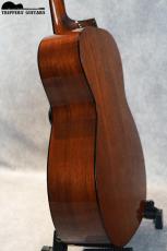 Collings 01 (2017)_11
