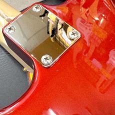 Fender Japan ST-STD_8