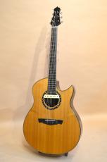 A.Kuwano Guitars（桑野亜矢喜） Prototype of VL Heelless_4