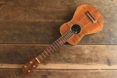 G String Concert Custom_2