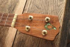 G String Concert Custom_8
