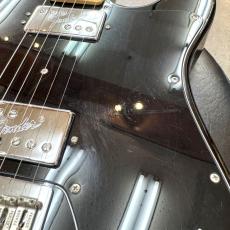 Fender American Professional Telecaster Deluxe_7