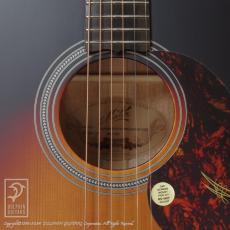 Maton Troubadour Dreadnought_12