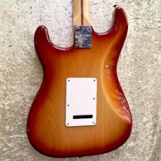 Fender American Standard Stratocaster Ash_2