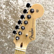 Fender American Standard Stratocaster Ash_5