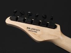 SCHECTER OL-ST-22/AB/R All Black -Japan Original Line-_9
