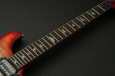 Paul Reed Smith [PRS] SE CUSTOM 24 ～Charcoal Cherry Burst～ #CTIG077263 [3.45kg]【48回無金利】_9