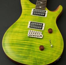 Paul Reed Smith [PRS] SE CUSTOM 24 ～Eriza Verde～ #CTIG005758 [3.44kg]【48回無金利】