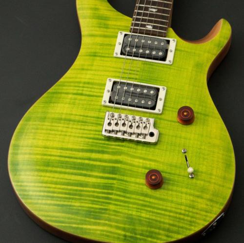 Paul Reed Smith [PRS] SE CUSTOM 24 ～Eriza Verde～ #CTIG005758 [3.44kg]【48回無金利】