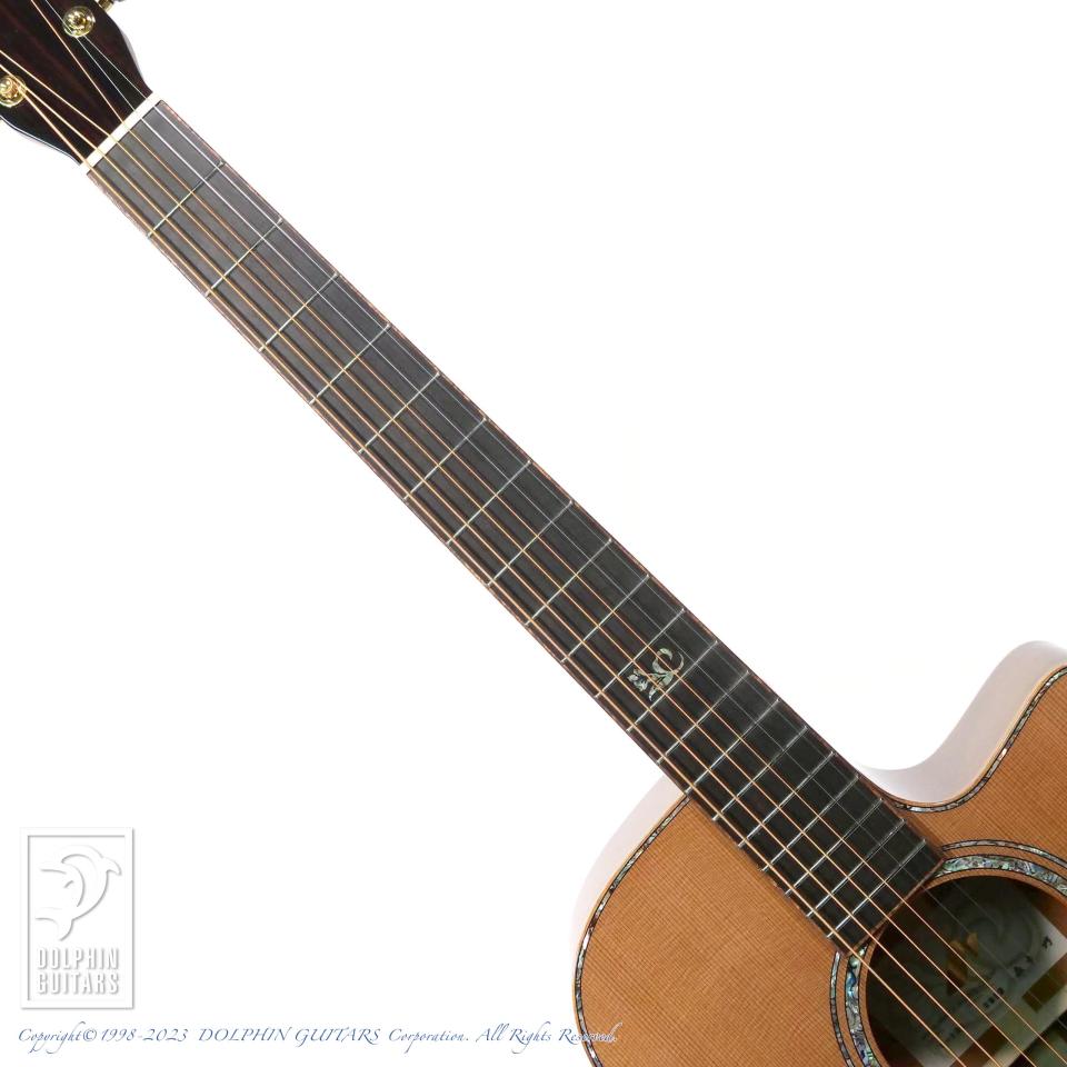 Morris S-121 2023年 新品 1290526 Morris(モーリス)【楽器検索