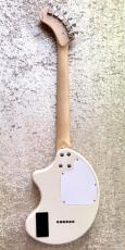 FERNANDES ZO-3 RK DOT_4