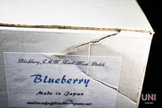 Blackberry JAM Blueberry_8