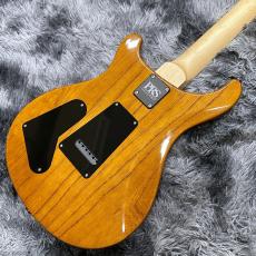 Paul Reed Smith [PRS] Swamp Ash Special Maple Vintage Natural【2025年NEWモデル】【超軽量約2.93kg!】_9