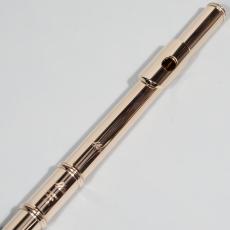 Altus PSG II REH/INLINE_2