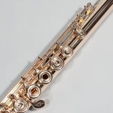 Altus PSG II REH/INLINE_3