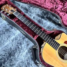 Taylor 316ce-JPN-LTD ES1 2014_3