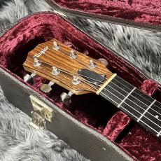 Taylor 316ce-JPN-LTD ES1 2014_4