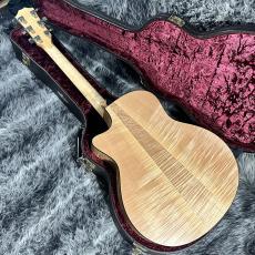Taylor 316ce-JPN-LTD ES1 2014_10