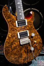 Paul Reed Smith [PRS] SE Custom24  / 2016