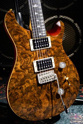 Paul Reed Smith [PRS] SE Custom24  / 2016